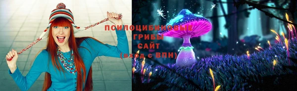 гашиш Баксан