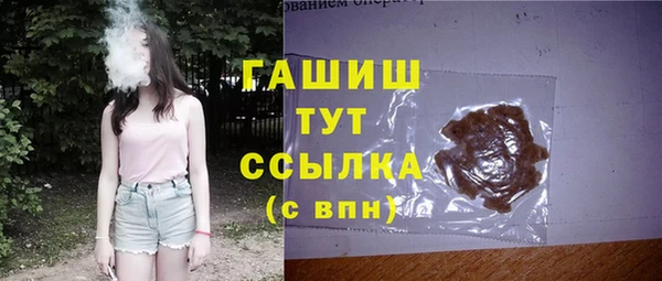 молекула духа Арсеньев
