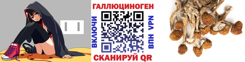 Купить Серафимович Галлюциногенные грибы GOLDEN TEACHER